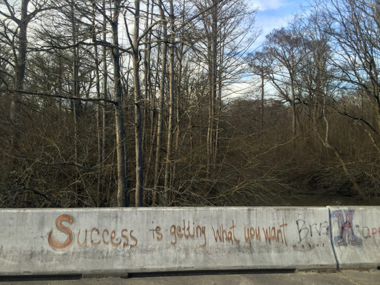A poured concrete curb crossed the foreground, behind it a swampy grove of leafless trees. On the curb is spraypainted "Success is getting what you want".
