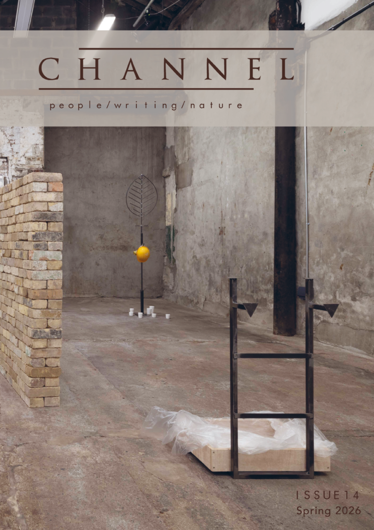 Front cover of Channel Issue 14, featuring a photograph of an art exhibition including several sculptural pieces: a brick wall in the middle of the room, a piece featuring a small ladder and a metal sculpture with a leaf shape at the top and yellow hard hat hanging from it.