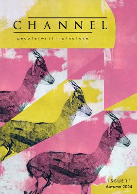 Front cover of Channel Issue 11, featuring overlapping etchings of a gazelle on pink and yellow backgrounds