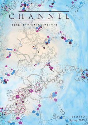 Front cover of Channel Issue 12, Spring 2025, featuring an artwork made up of loosely-drawn chains of hexagons, some of them coloured in purple and dark blue, on a swirling blue and white background. The text is laid over the artwork, with the title Channel in the top-left corner and the tagline people / writing / nature underneath it.